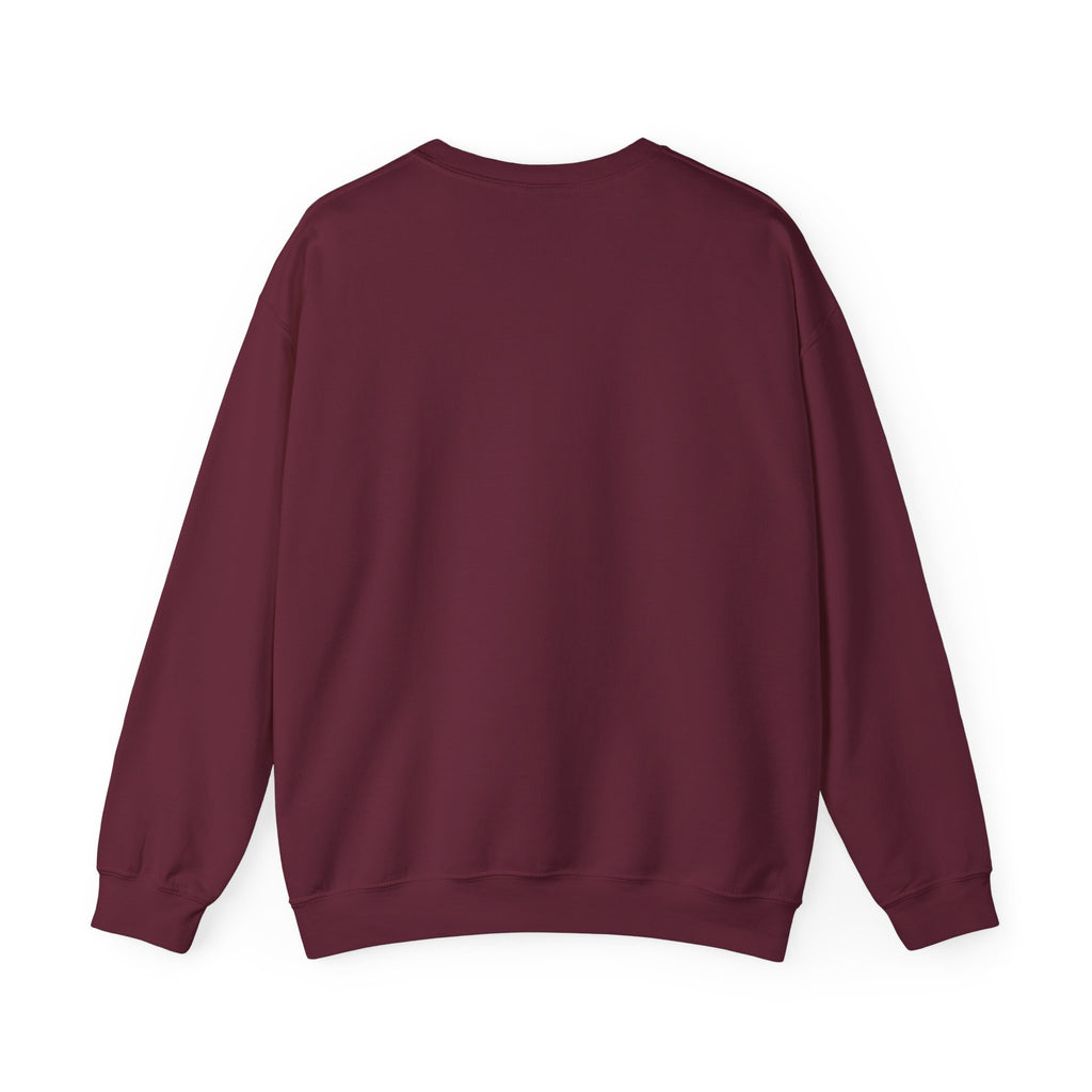 Klasik bisiklet yaka sweatshirt