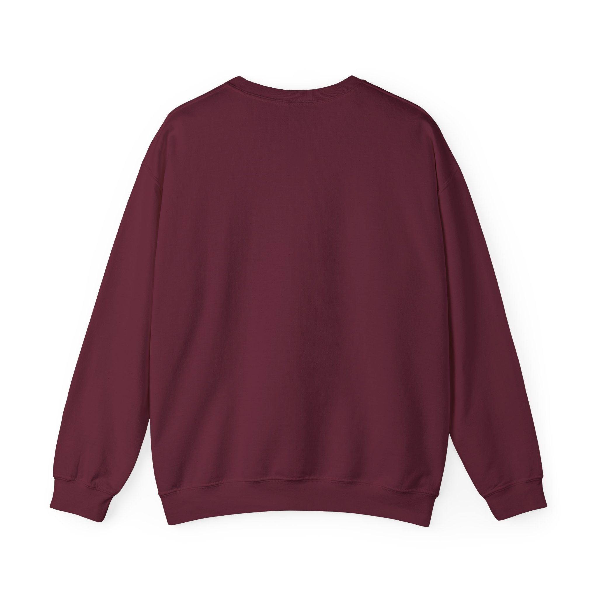 Klasik bisiklet yaka sweatshirt