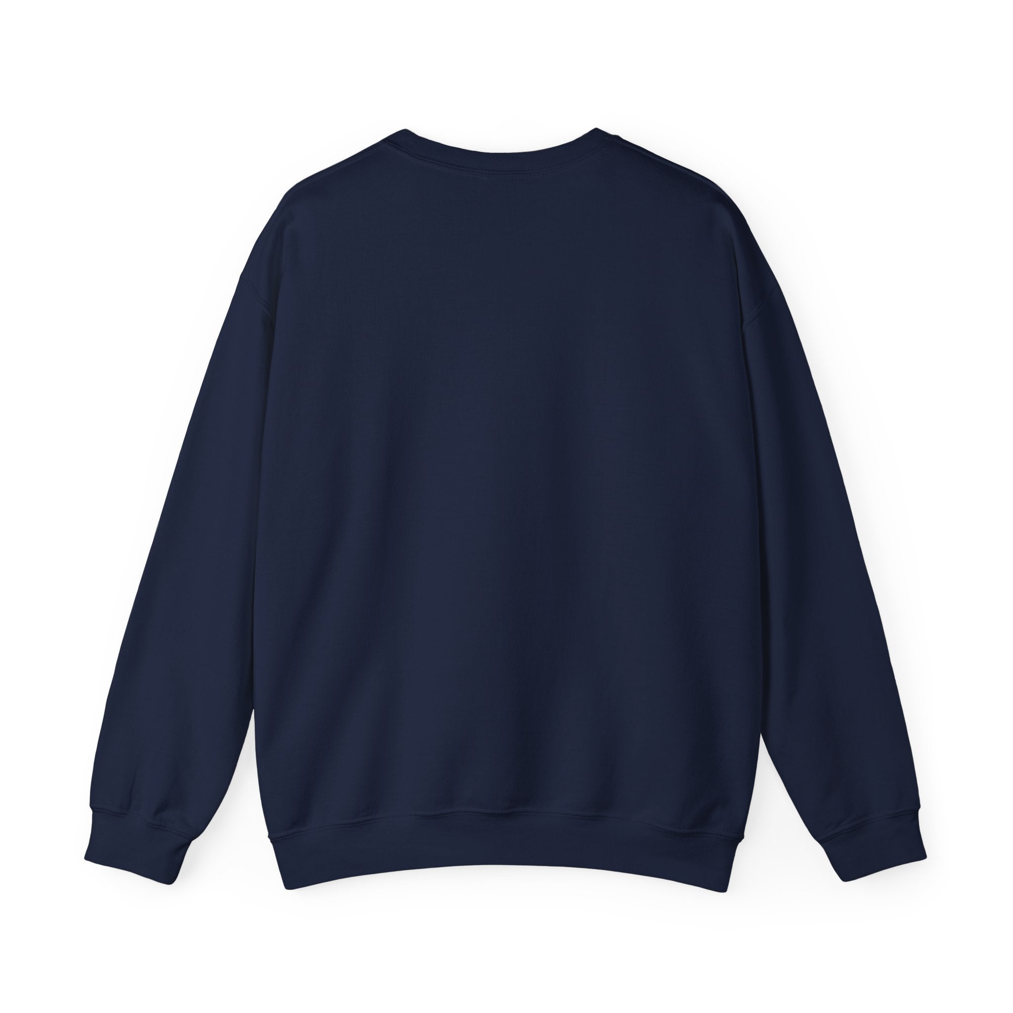 Klasik bisiklet yaka sweatshirt