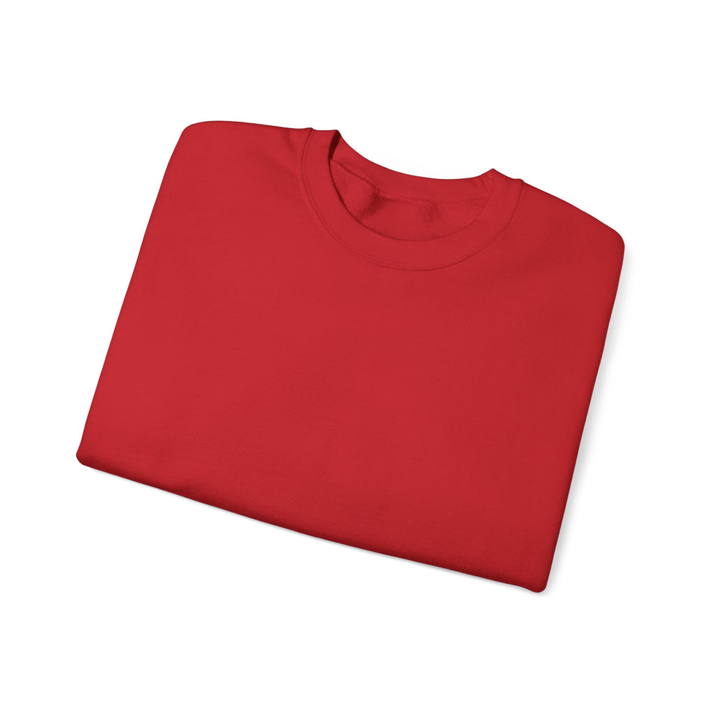 Klasik bisiklet yaka sweatshirt