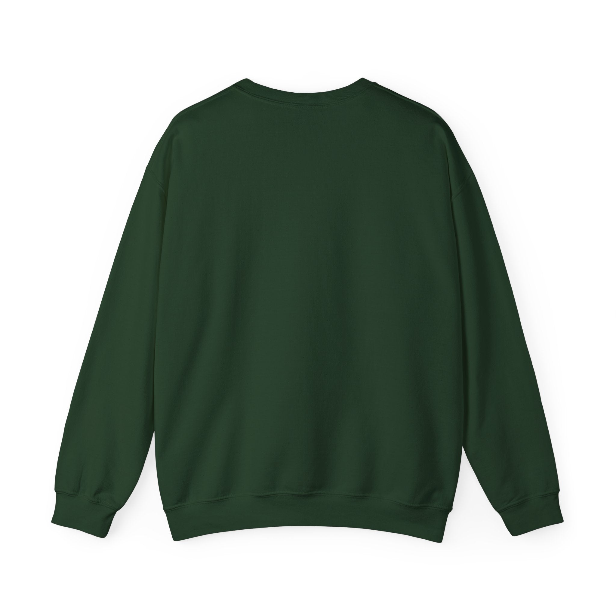 Klasik bisiklet yaka sweatshirt