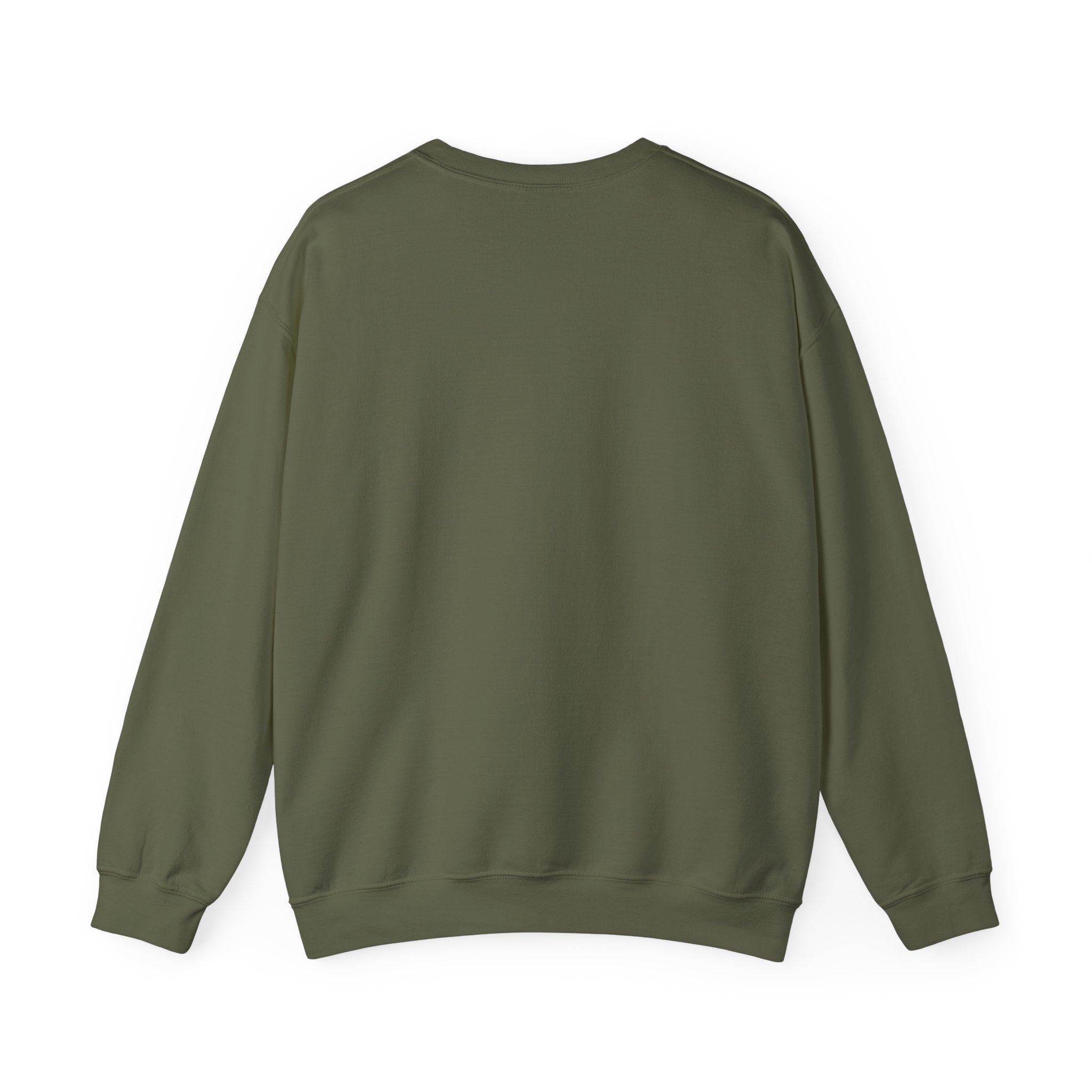 Klasik bisiklet yaka sweatshirt
