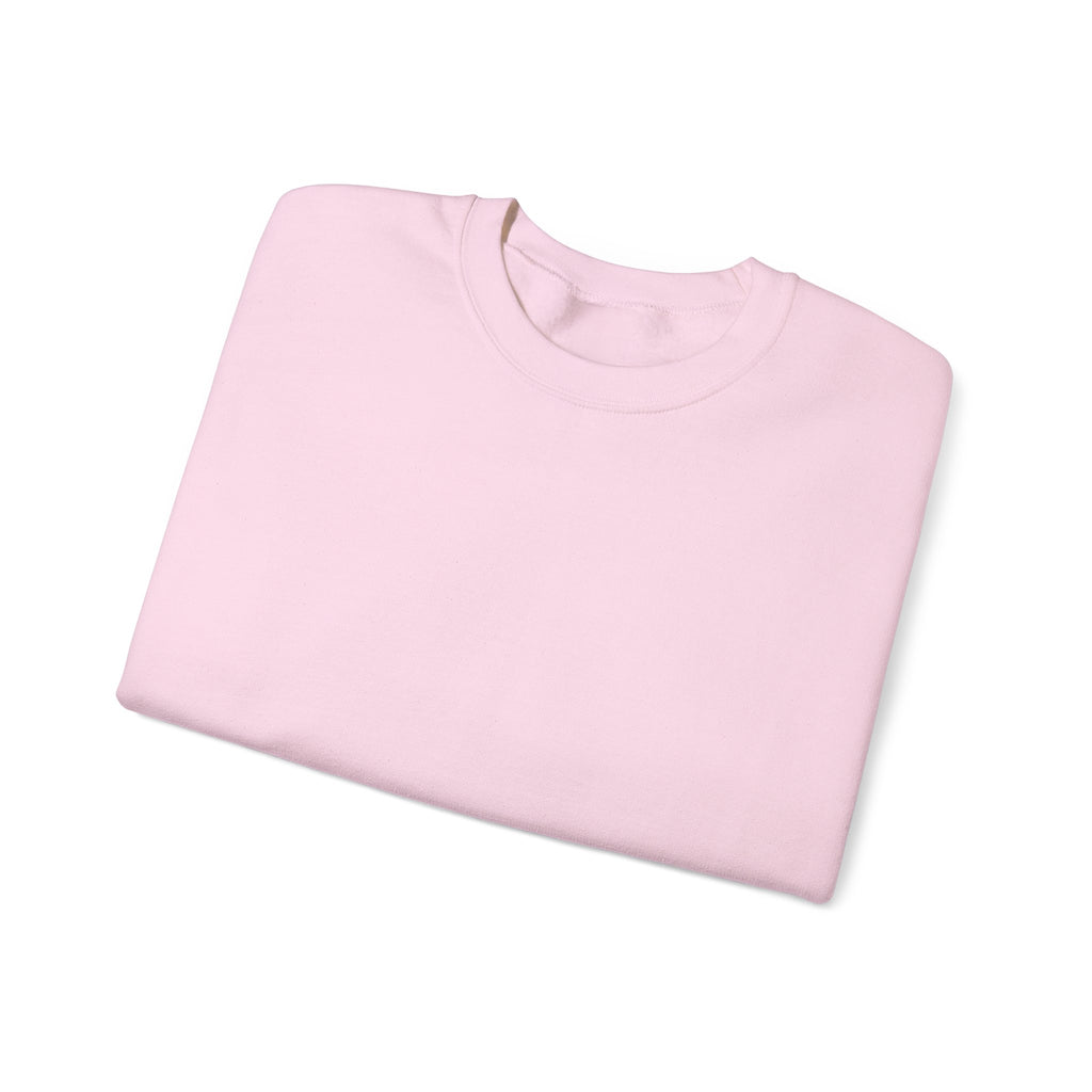 Klasik bisiklet yaka sweatshirt