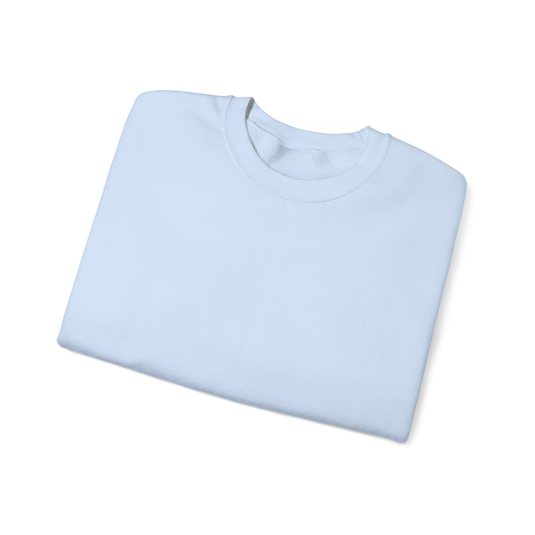 Klasik bisiklet yaka sweatshirt