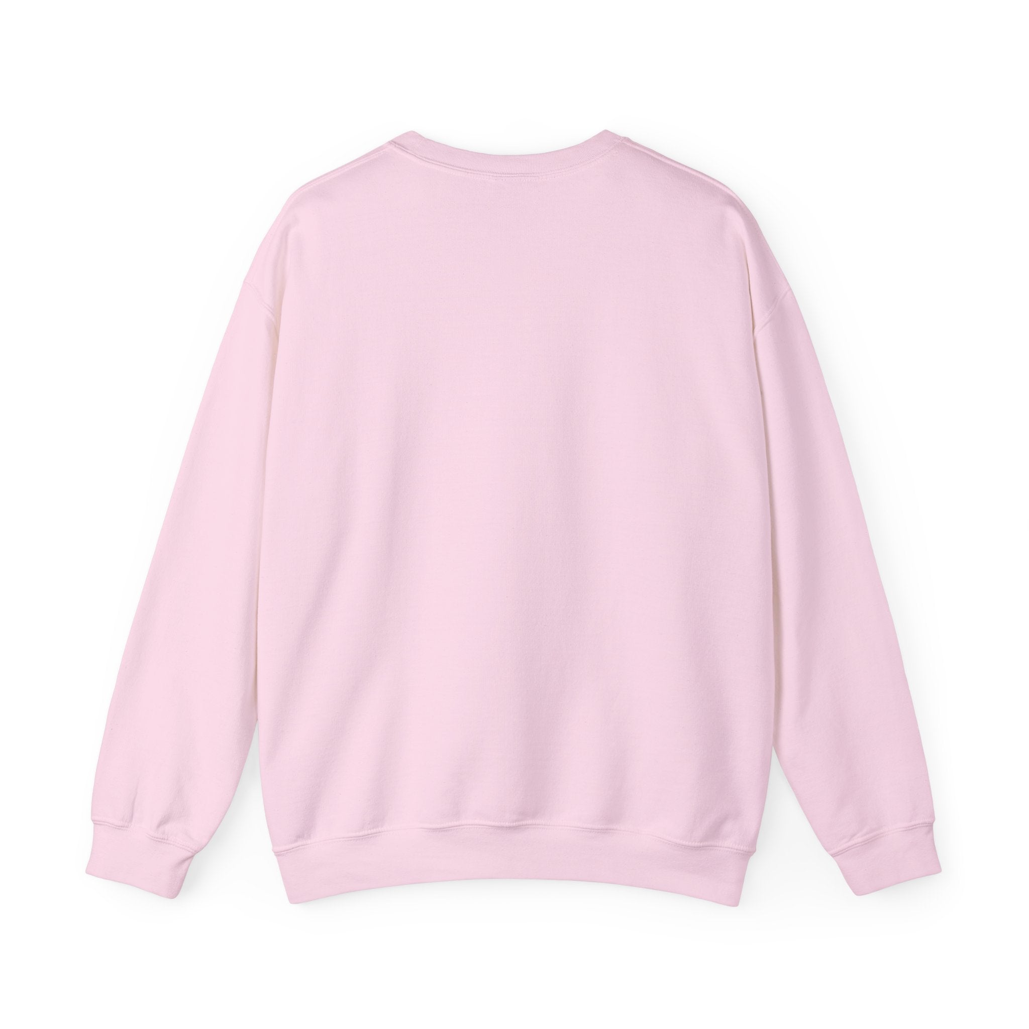 Klasik bisiklet yaka sweatshirt