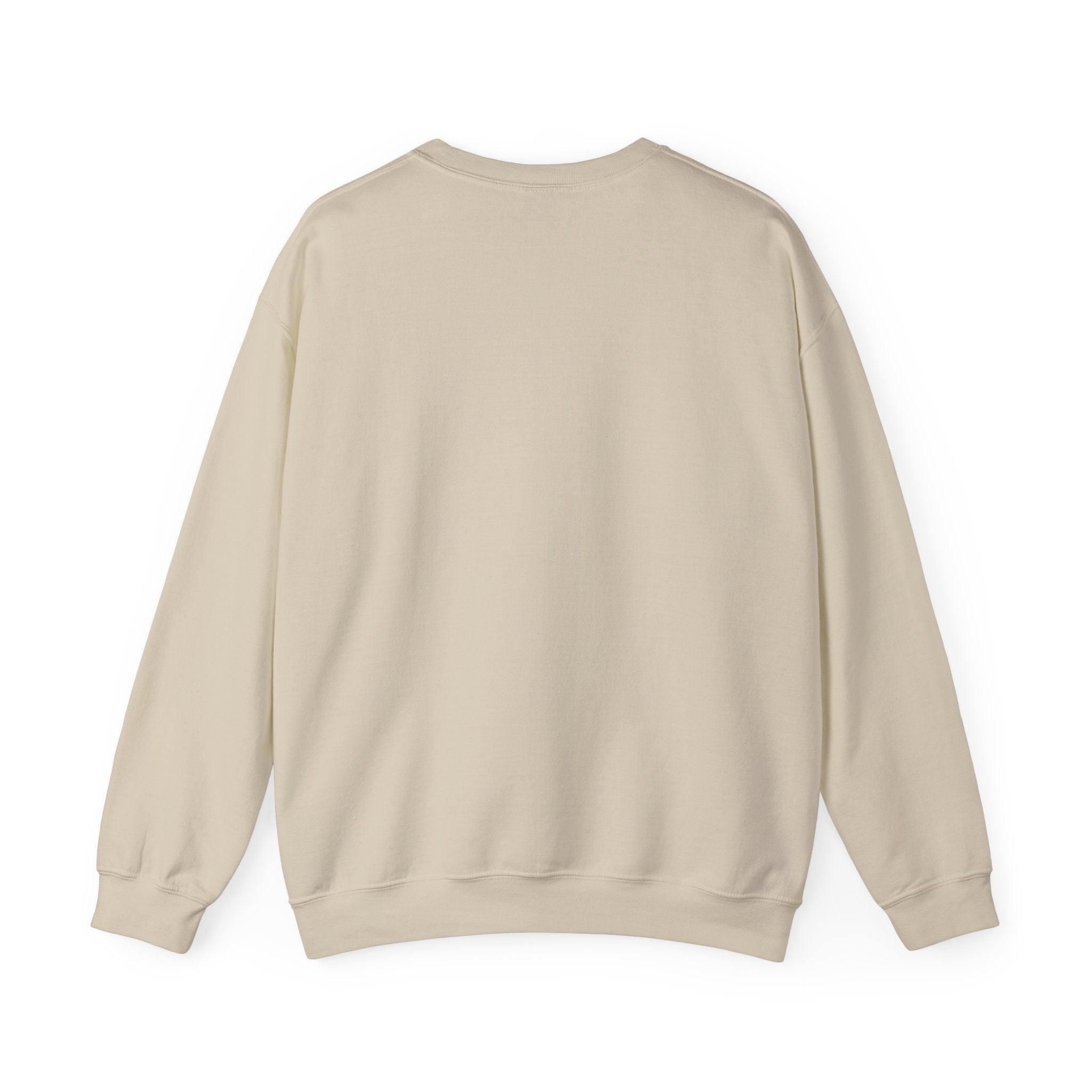 Klasik bisiklet yaka sweatshirt