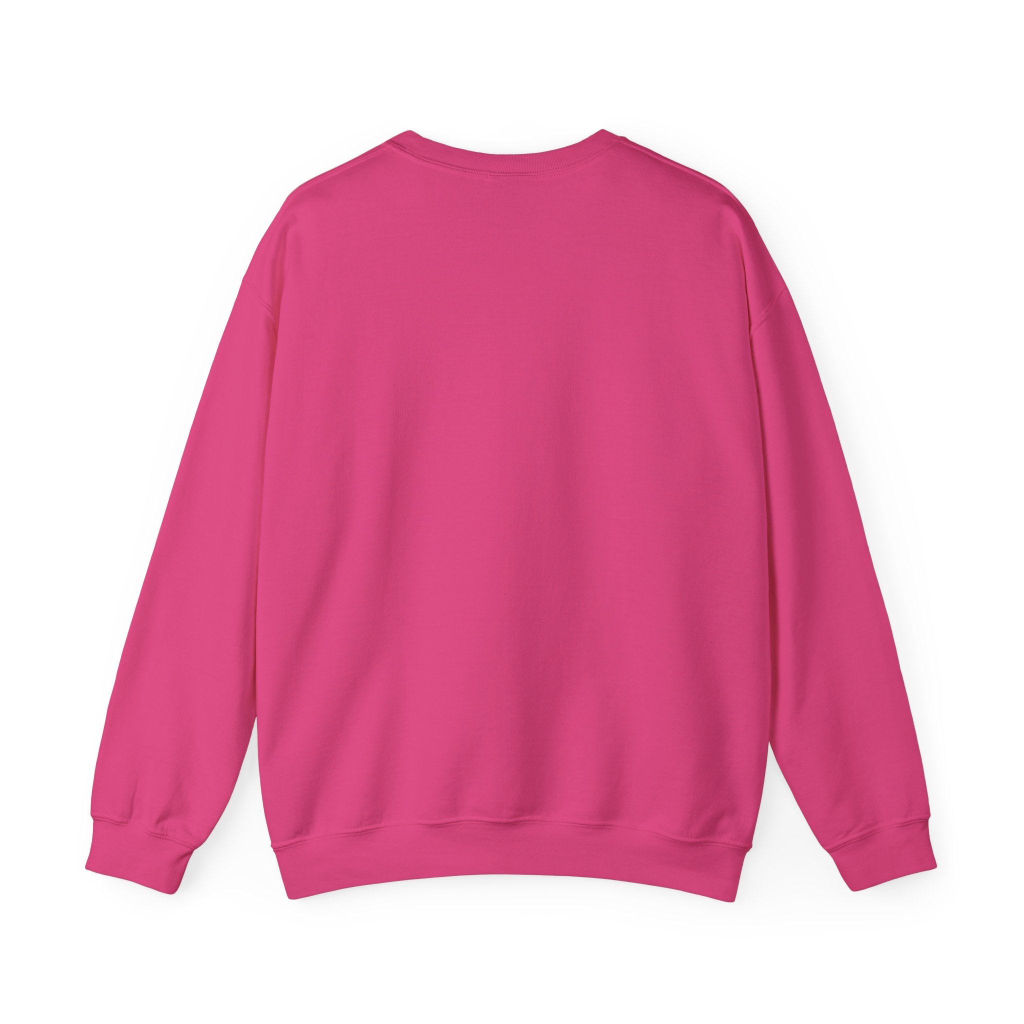 Klasik bisiklet yaka sweatshirt
