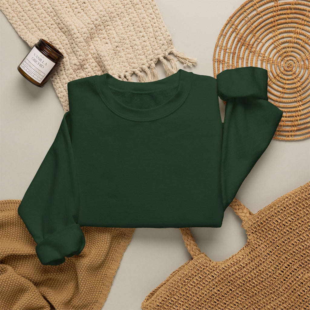 Klasik bisiklet yaka sweatshirt
