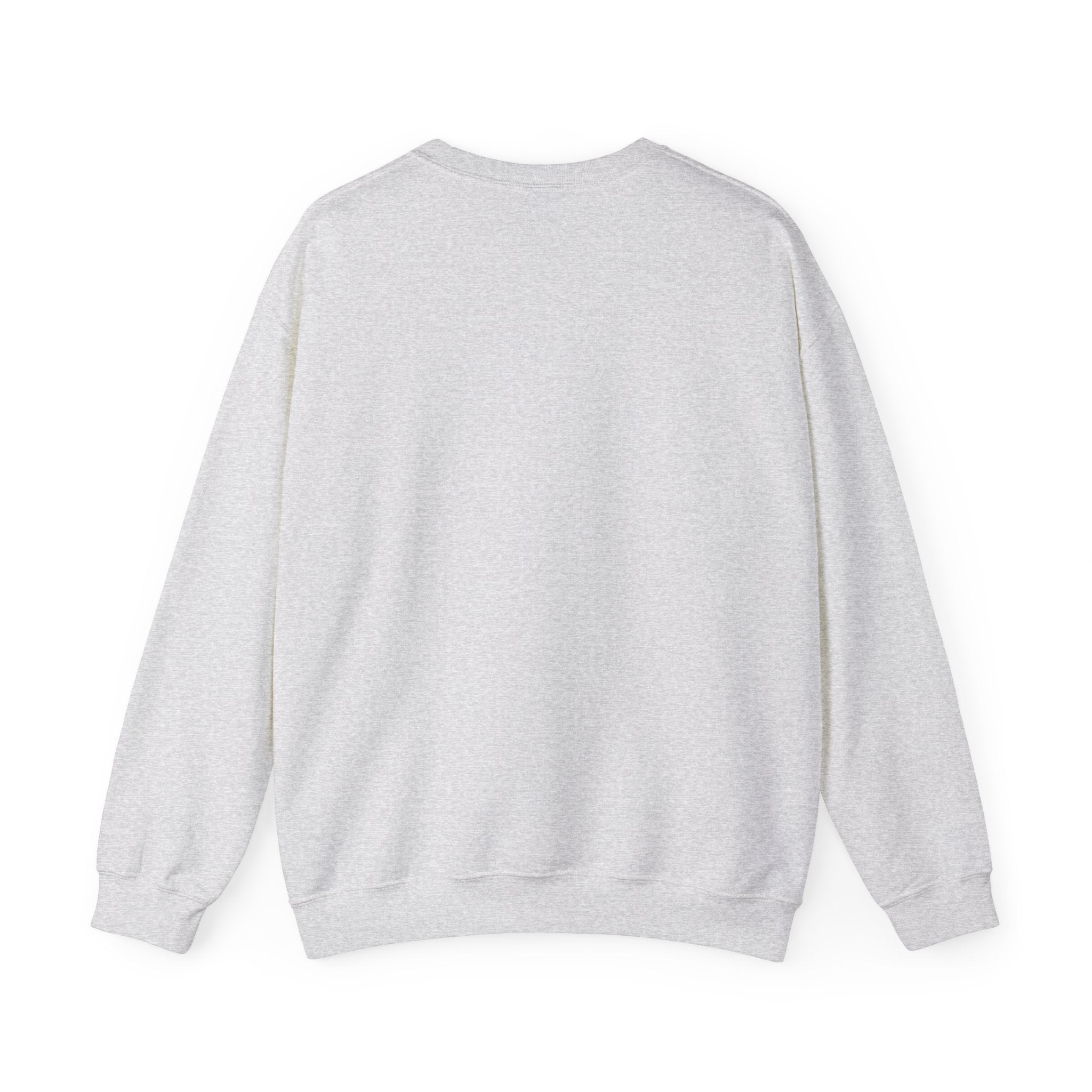Klasik bisiklet yaka sweatshirt