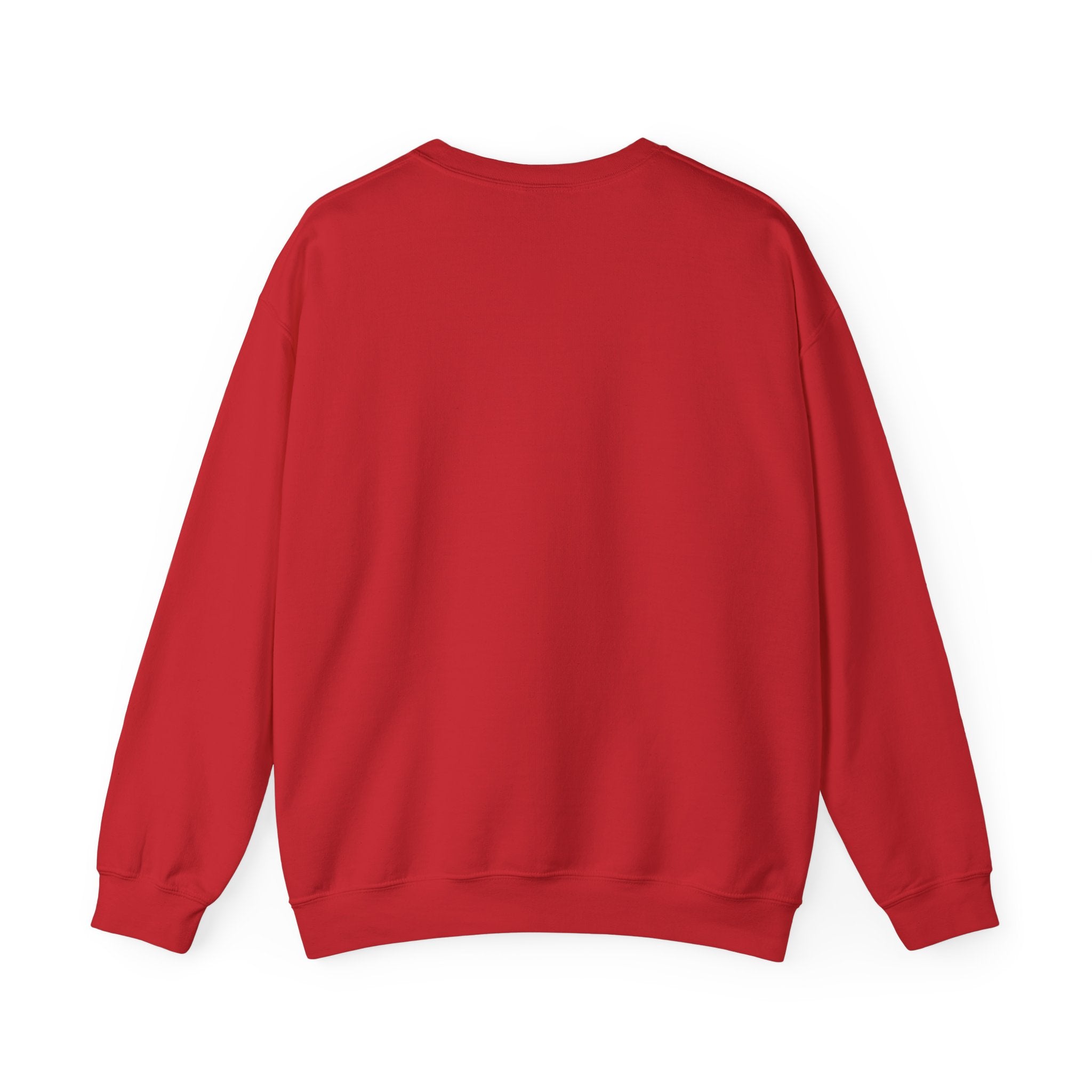 Klasik bisiklet yaka sweatshirt
