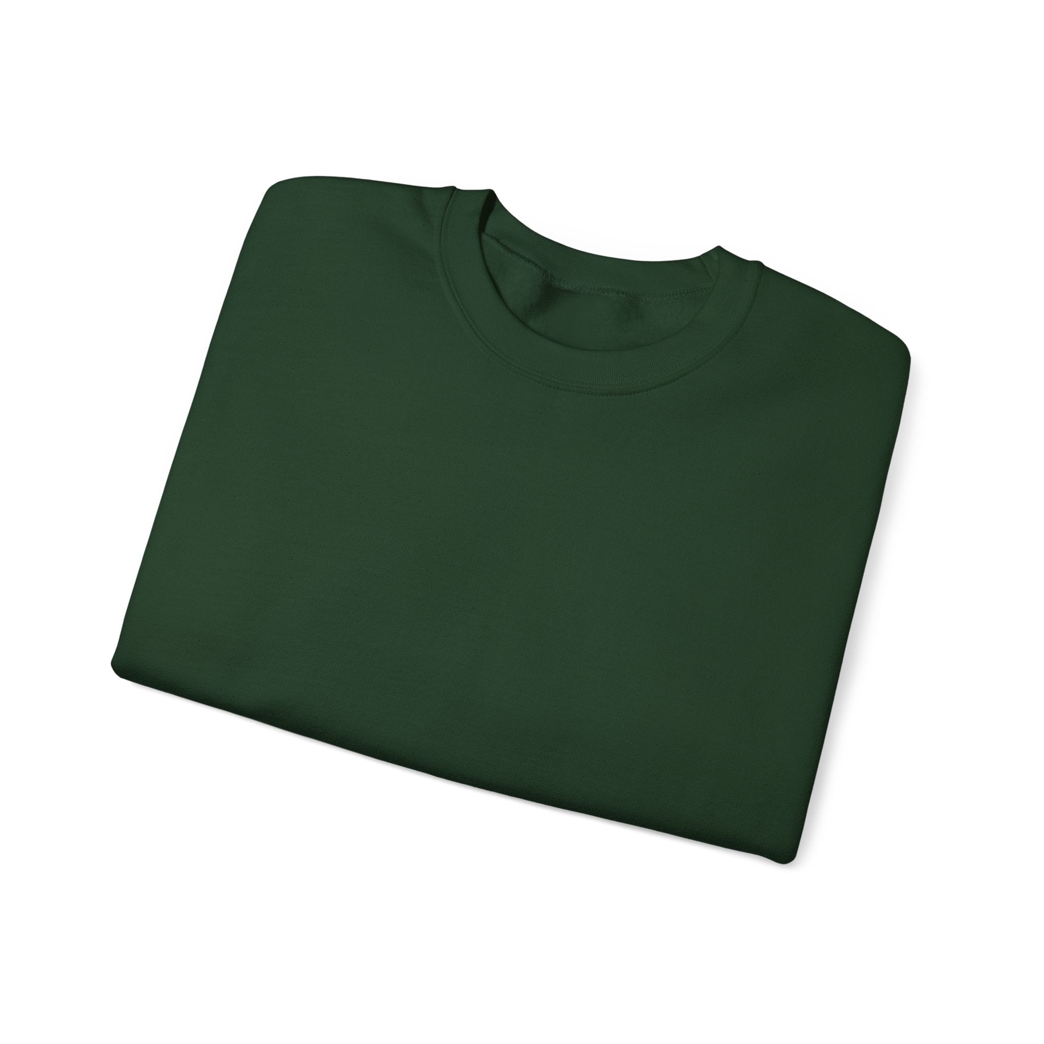 Klasik bisiklet yaka sweatshirt