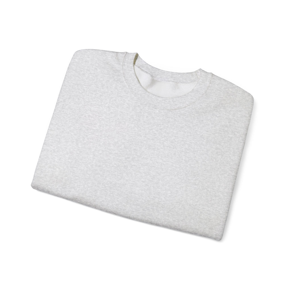 Klasik bisiklet yaka sweatshirt