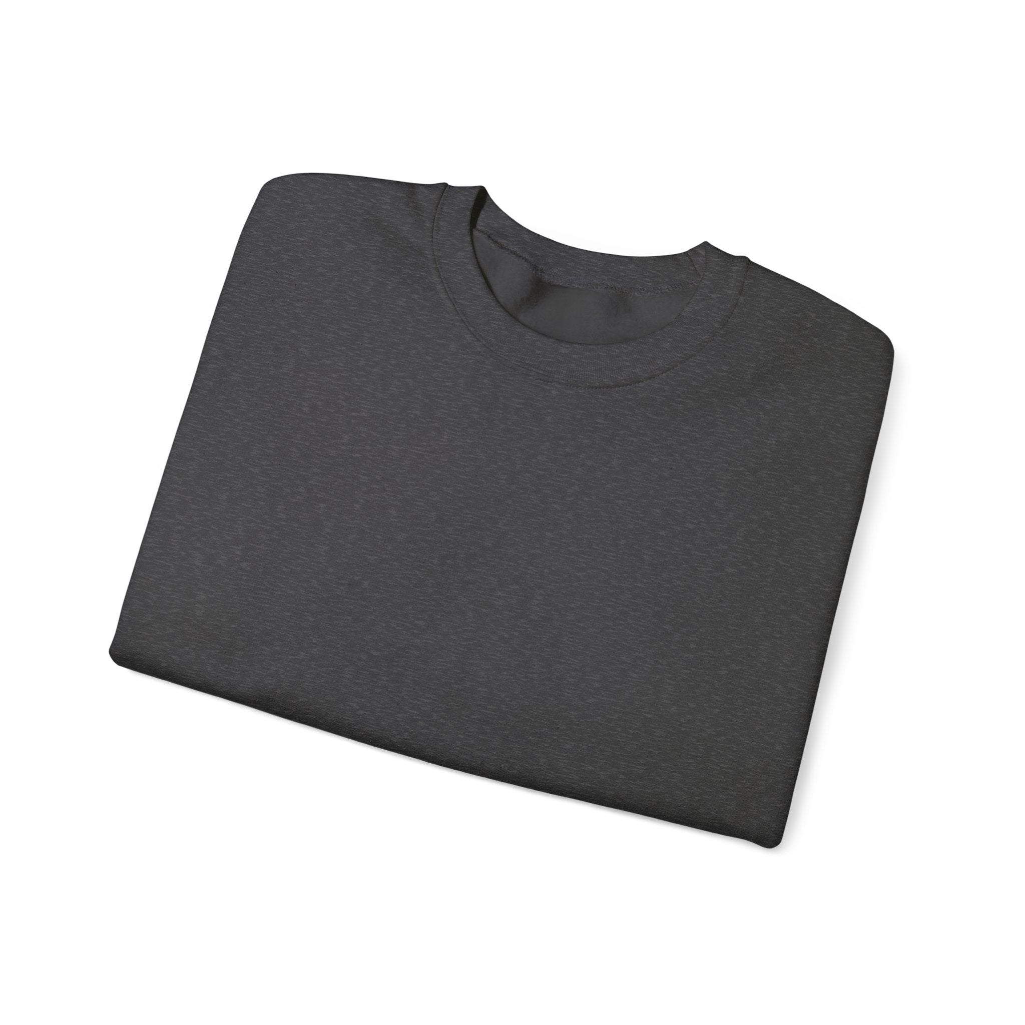 Klasik bisiklet yaka sweatshirt