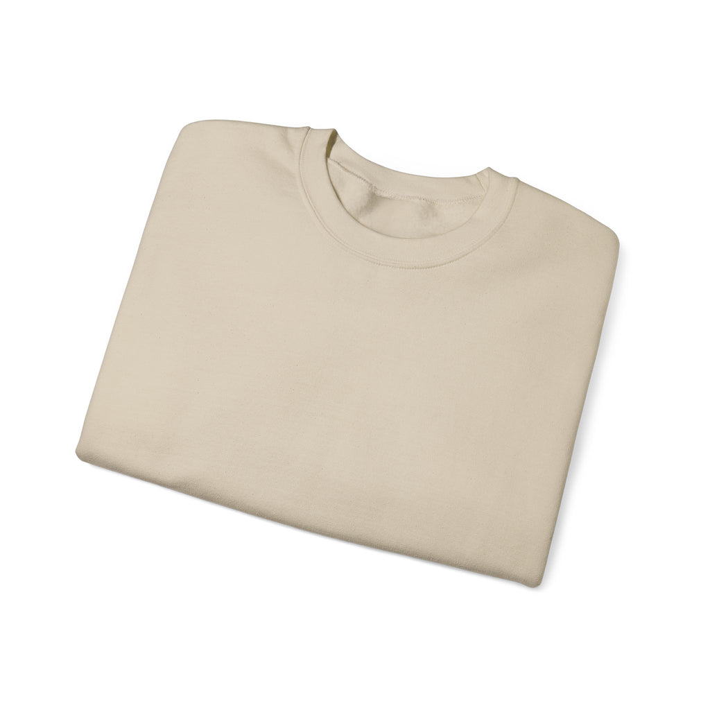 Klasik bisiklet yaka sweatshirt